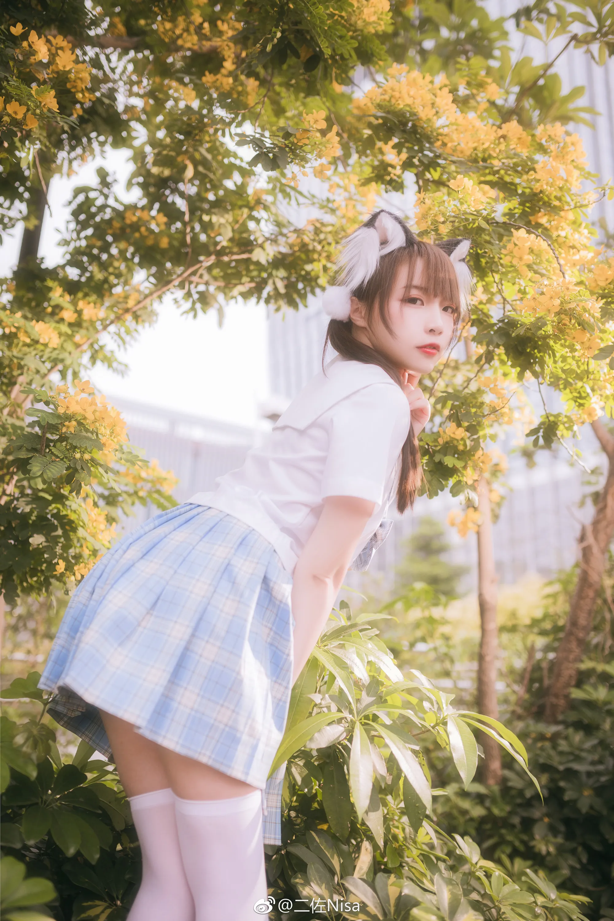 清新的jk~