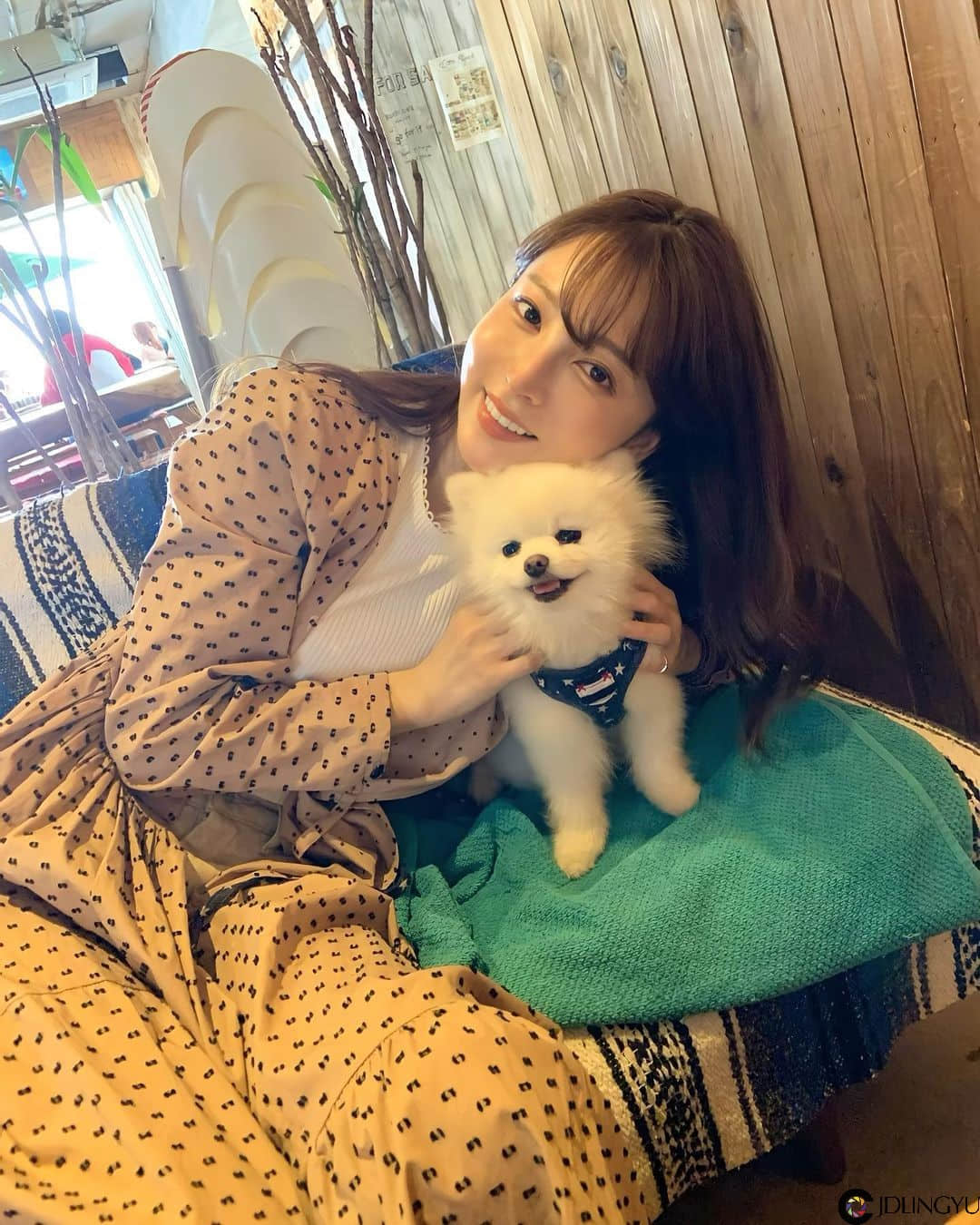 114120aq6f8b6vex9fx8wp