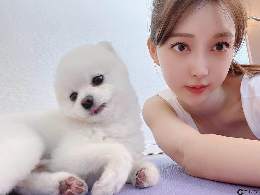 114123y48414ayycksnw81