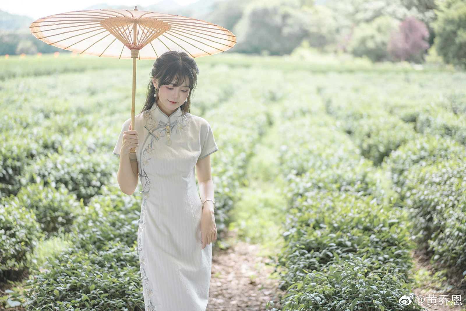 寻着茶香来，任风月婆娑。