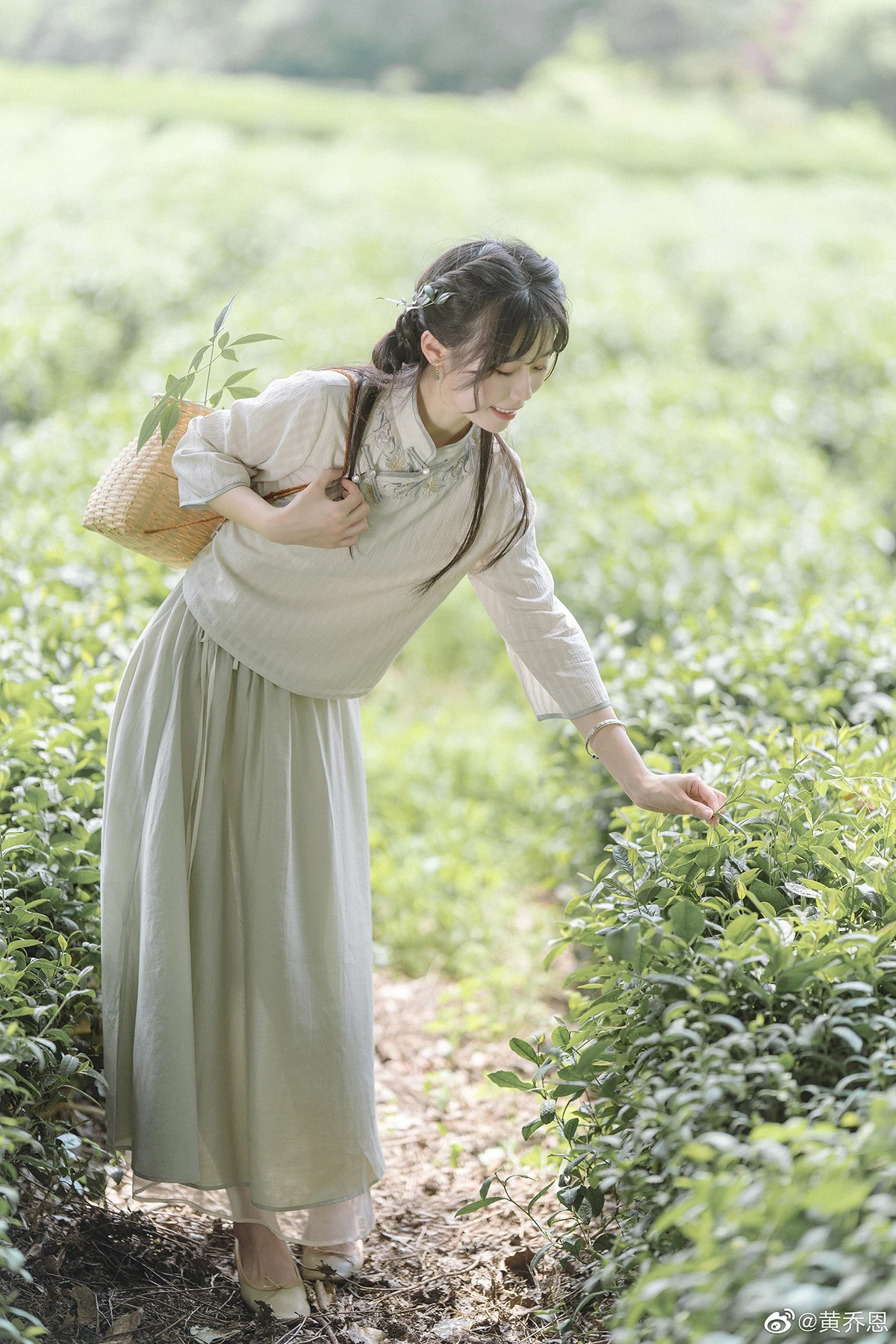 寻着茶香来，任风月婆娑。