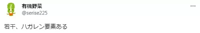 《动漫主角家系图》优秀的哥哥、病弱的妹妹 你看过哪些作品符合这套设定呢?