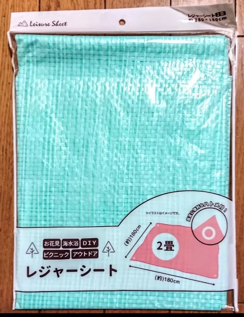 《动漫迷觉得很眼熟的野餐垫》灌篮高手的粉丝都认得出来?在那个经典场景出现过……