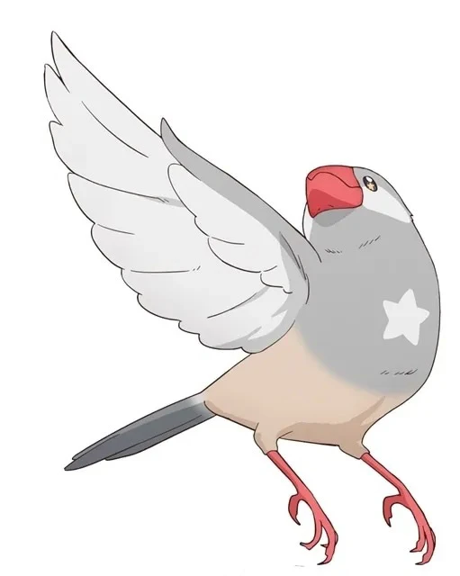 轻小说改编动画《佐佐木与文鸟小哔》确定2024年开播!追加声优 鬼头明里、高桥李依 参与演出