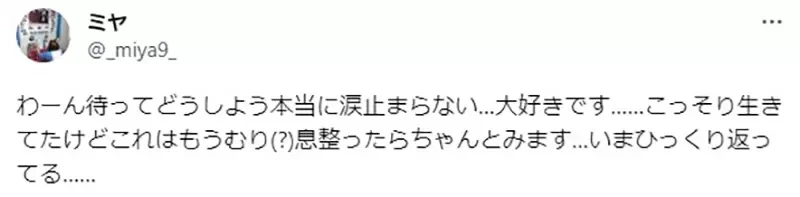 《迹部景吾出席粉丝婚礼》网球王子粉丝即将结婚了 许斐刚老师献上祝福超感动