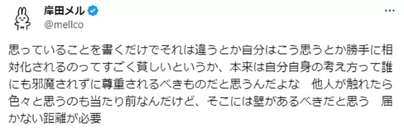 《岸田梅尔论社交网站》不论说什么都会挑起对立 将来个人网站会不会强势回归?