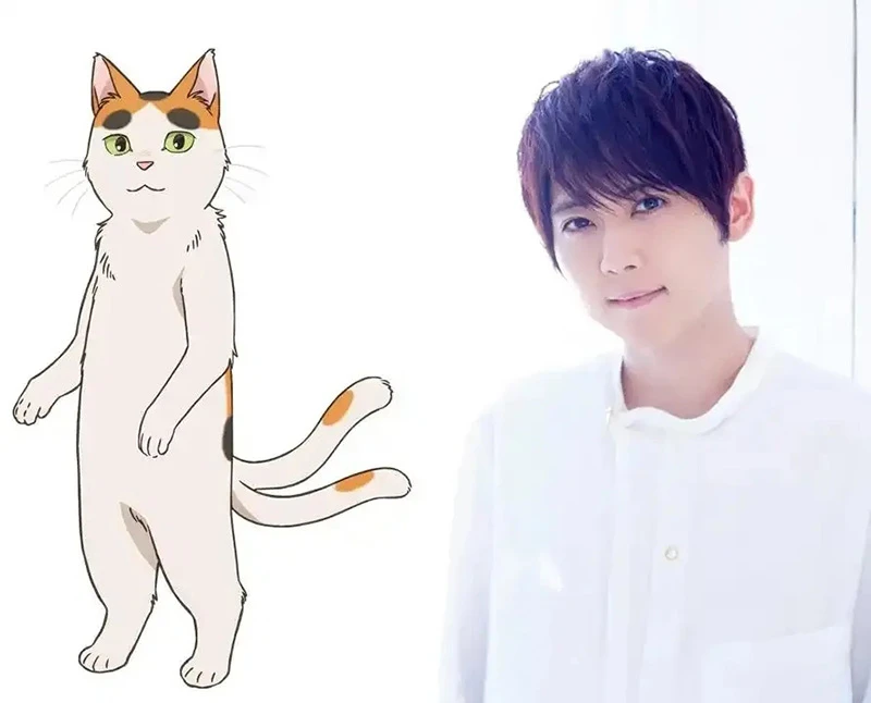 不可思议的温柔日常故事《隔壁的妖怪邻居》宣布2024年4月开播!梶裕贵 饰演妖怪猫又